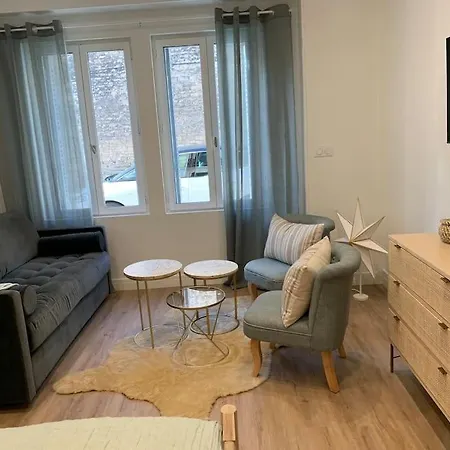 Appartement Chaleureux Dijon Exterior photo